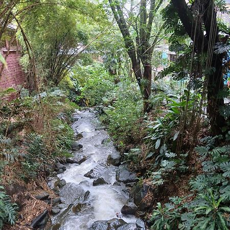 Yolo Hostel Medellin Bagian luar foto