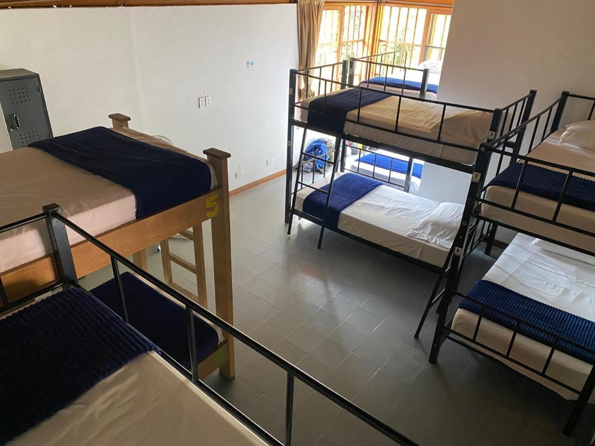 Yolo Hostel Medellin Bagian luar foto