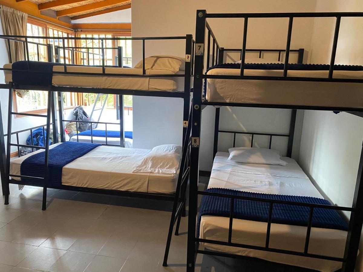 Yolo Hostel Medellin Bagian luar foto