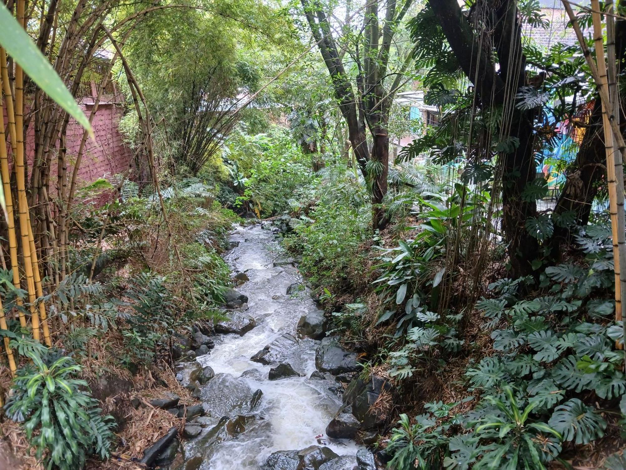 Yolo Hostel Medellin Bagian luar foto