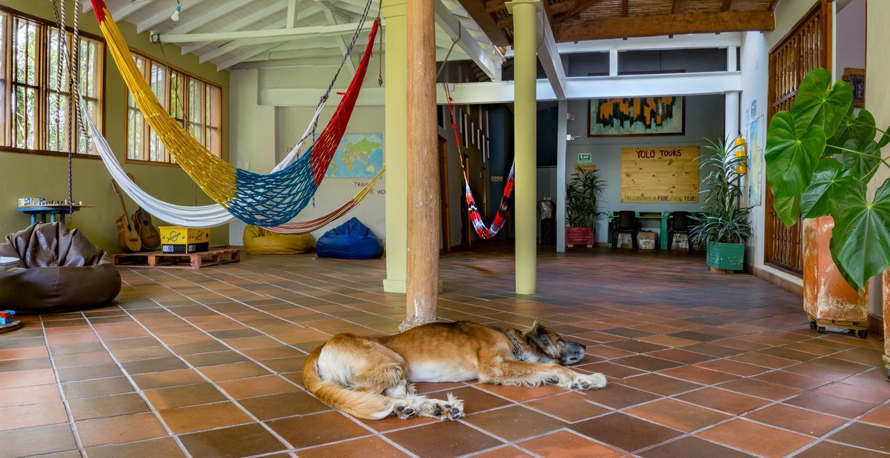 Yolo Hostel Medellin Bagian luar foto